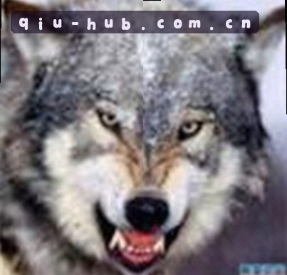 张伟